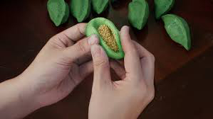 Hàn Quốc: Xứ Sở Bánh Tteok