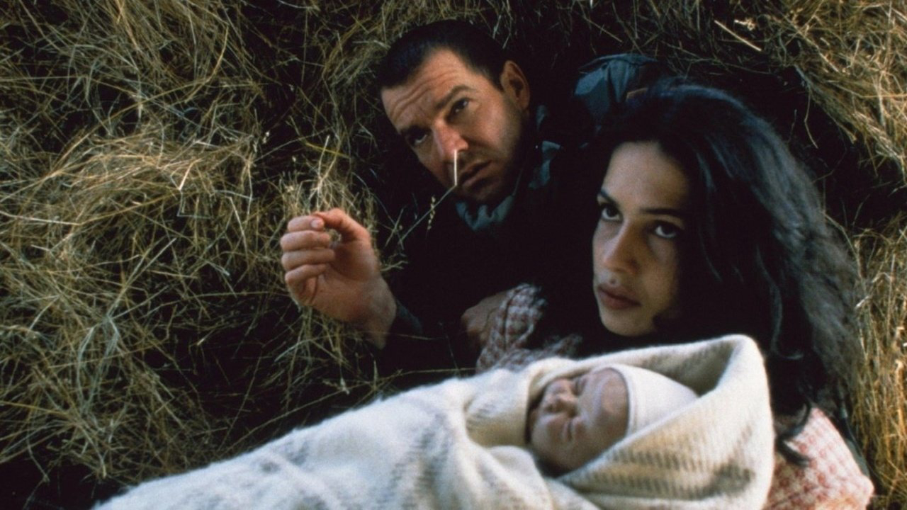 Người Cứu Rỗi