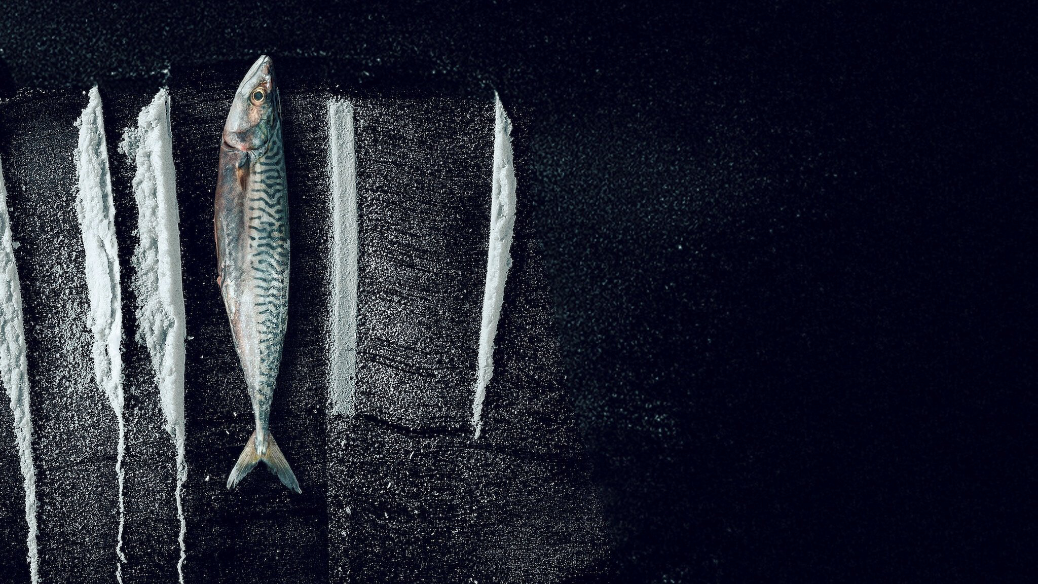 Sống Triều Đổi Vận: Câu Chuyện Siêu  Thực Tế Rabo de Peixe