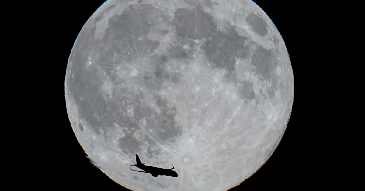 Tiệc Quái thú dưới ánh trăng